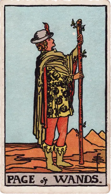 Carta Pajem de Paus